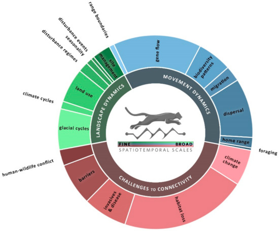 Distribution of 572 Circuitscape applications across topics in dynamic connectivity